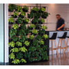 Indoor Planter - Brant Business Interiors