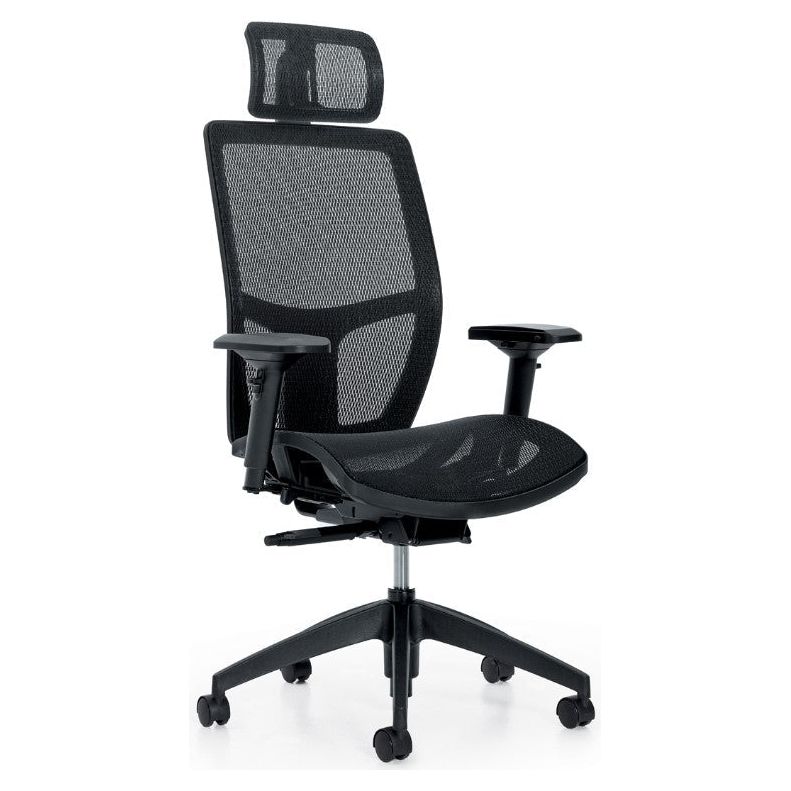 MVL3197 Format+ | High Back Weight Sensing Synchro-Tilter, Mesh Seat and Back - Brant Business Interiors